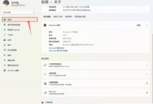 win11系统D盘有黄色感叹号怎么办？win11系统D盘黄色感叹号怎么去掉？_找独服