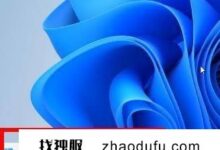 win11应用商店没有联网怎么办？win11应用商店是否联网的解决方案。_找独服