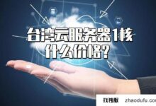 台湾省云服务器1核价格多少?(新核云价格)_找独服