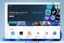 Win11后退键没有反应怎么办?Win11返回按钮不响应解决方案(苹果11按钮不反弹)_找独服