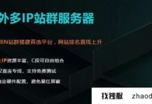 韩国多ip站只有1c代理服务器吗?_找独服