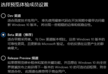 Win11预览版选择哪个渠道比较好？Win11不同通道的详细说明(windows11通道)_找独服