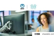 海外ntt线路怎么样?快吗?_找独服