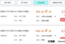 美国高流量网站如何租用大带宽服务器?(租用美国服务器一年多少钱?)_找独服