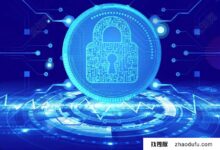 荷兰的服务器呢?(荷兰专用服务器)_找独服