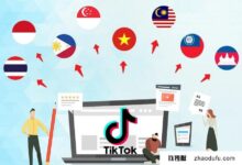 促进对外贸易,抖音营销,购买菲律宾本地IP服务器_找独服