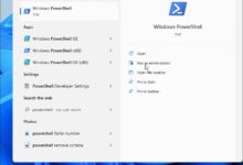 如何在Win11系统中以管理员身份打开PowerShell?_找独服