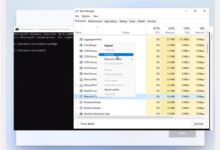 Win11如何离线激活?Win11系统家庭版离线激活教程(离线win10激活)_找独服