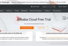 阿里云国际站可以免费试用吗？(阿里国际站免费吗？)_找独服