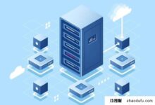 2024年选择云主机还是物理机部署项目？(云主机是虚拟机还是物理机)_找独服