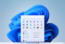 如何将Win11预览版Beta通道升级到正式版(win11beta通道可以升级到正式版吗)_找独服