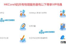 HKCoreX_香港本地商户香港站群服务器 实体机SSD云服务器 香港高防vps_竭诚服务 可靠售后服务_找独服