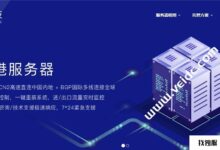 数字脉冲技术:2023年七夕特别促销,E3-1230 v2/16G/1TB HDD/240 GB SSD/3 IPs,可选带宽30Mbps BGP/15Mbps CN2BGP/10Mbps华为混合网络,月付250元起。_找独服
