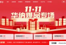 #11.11#华纳云爆特惠:海外云服务器10M CN2低至51元/月,物理服务器50M CN2仅需888元/月,高安全性服务器6折叠加防御!_找独服