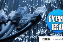 您是否租用服务器来构建代理ip?(建立自己的代理ip)_找独服