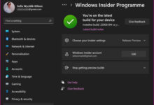 如何立即免费升级到Windows11?立即免费升级到Windows11介绍(如何从win10免费升级到win11)_找独服