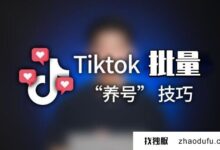 tiktok多ip服务器批量注册是怎么操作的?_找独服