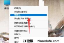 Windows S11驱动卸载重装教程分享(如何卸载重装win11声卡驱动)(如何卸载w10声卡驱动)_找独服