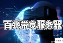 企业如何租用「百兆带宽服务器」?(千兆带宽服务器)_找独服