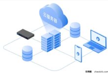 2024年新加坡vps推荐哪一个?(新加坡的副总裁)_找独服