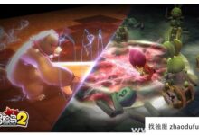 消失-冒险岛私人服务器(冒险岛帐号停止服务)_找独服