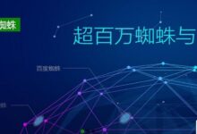 蜘蛛池服务器哪个好？(蜘蛛池有用吗？)_找独服