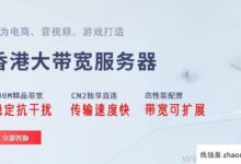 大带宽和高防御服务器至强E3_找独服