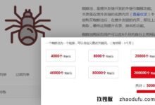 花高价买一个200w的蜘蛛池有用吗？(蜘蛛池骗局)_找独服