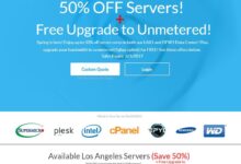 Limestonenetworks最新促销1Gbps带宽,不限流量,低至80美元/月。洛杉矶/达拉斯机房是可选的。_找独服