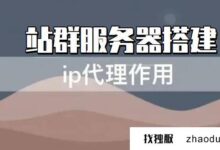 为什么多ip服务器可以搭建代理服务器(自建ip代理服务器)?_找独服